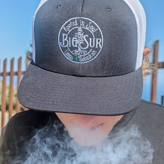 Redwood Flatbill Mesh Back