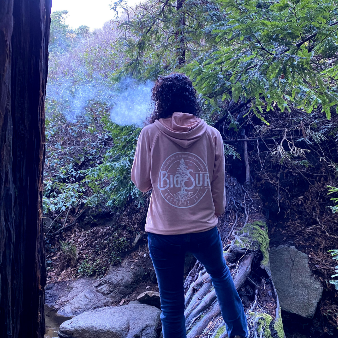 Rooted In Soul Pullover Hoodie