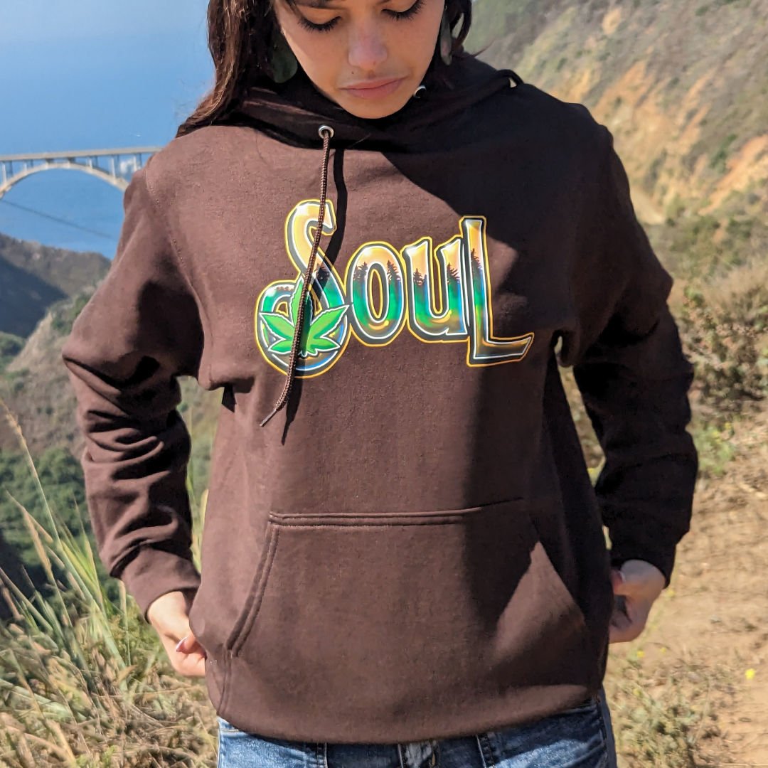 SouL Harvest Pullover Hoodie – shopstoneymerch