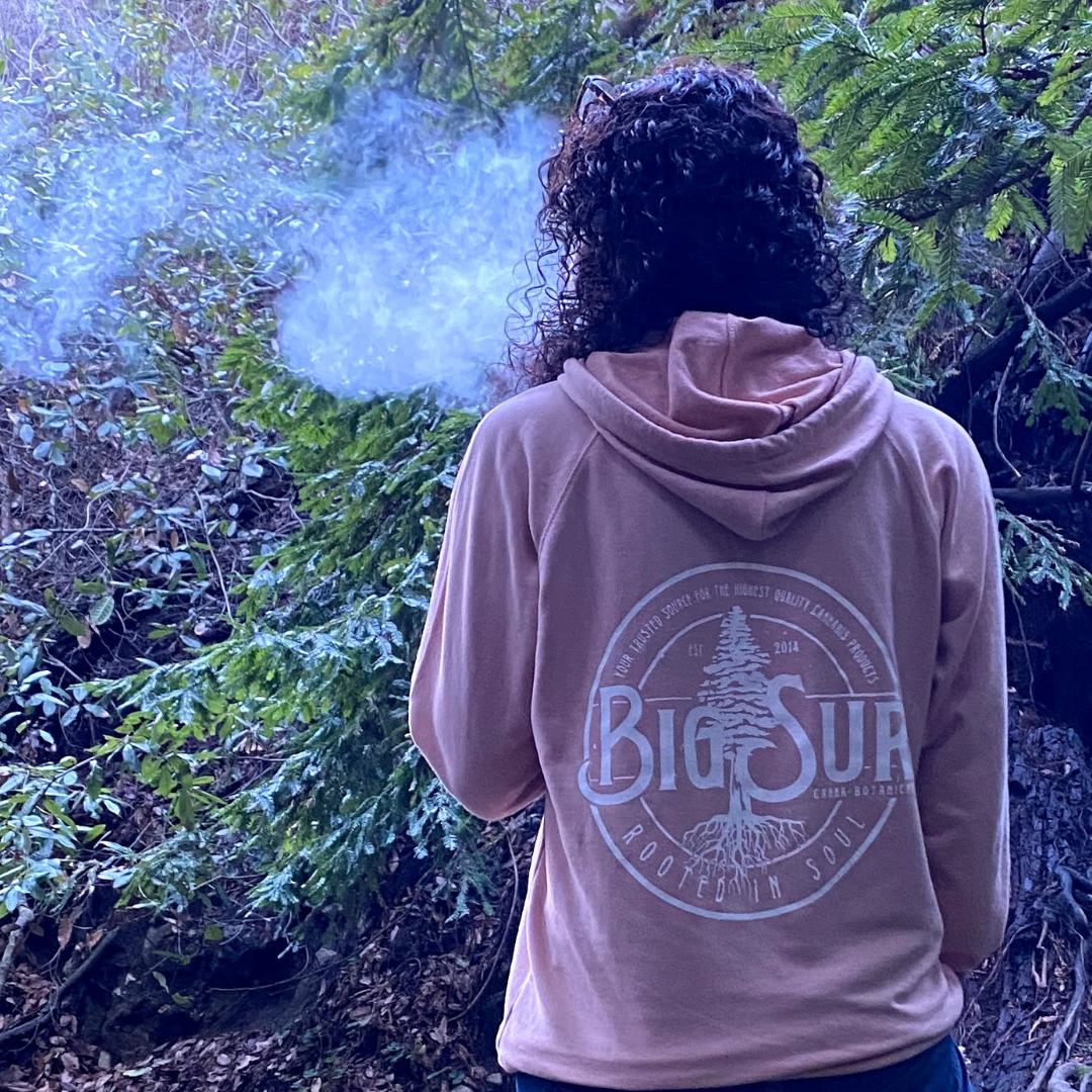 Rooted In Soul Pullover Hoodie